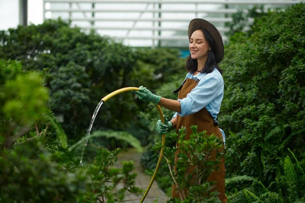 Young Woman Gardener Watering Green Plants Hose Sprinkler Greenhouse Gardening — Zdjęcie stockowe