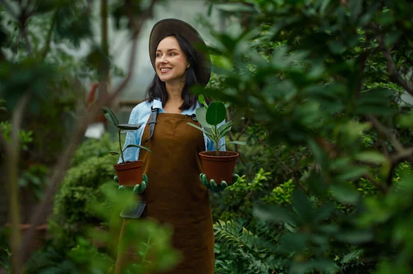 Portrait Positive Smiling Woman Gardener Wearing Apron Carrying Flowerpots Hand — Zdjęcie stockowe