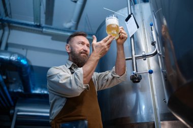 Brewery worker looking at freshly made beer in glass mug. Small business and brewing factory technological process concept