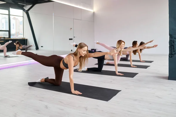 Female Group Doing Stretching Workout Fitness Mat Women Training Yoga — Fotografia de Stock