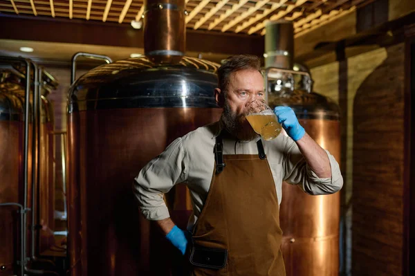 Senior Man Brewery Technologist Tasting Fresh Craft Beer Microbrewery Plant — Stock Photo, Image