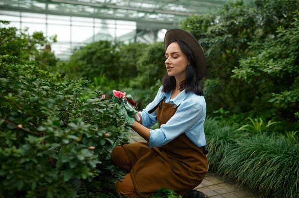 Młoda Kobieta Ogrodnik Cięcia Pąki Kwiatowe Kwiat Pracy Szklarni Szczęśliwy — Zdjęcie stockowe