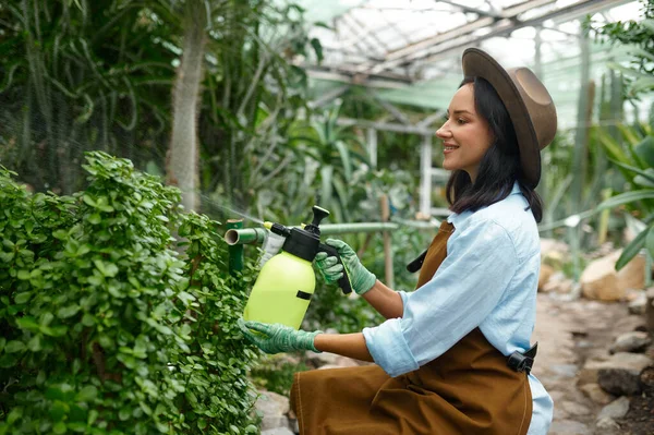 Young Woman Gardener Caring Plants Treating Flowers Chemicals Pulverizer Sprayer — Foto de Stock