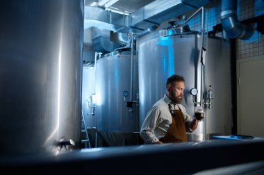 Mature brewery factory owner examining quality of craft beer. Adult man inspector working on alcohol manufacturing factory checking ale fermentation