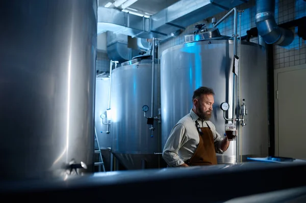 Mature brewery factory owner examining quality of craft beer. Adult man inspector working on alcohol manufacturing factory checking ale fermentation
