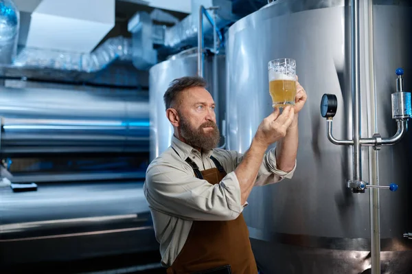 Brewery Worker Looking Freshly Made Beer Glass Mug Brewing Factory — Stock Photo, Image