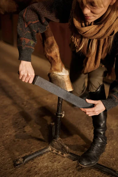Female Horse Owner Trimming Filing Shaping Young Stallion Hoof Using — Stock Photo, Image