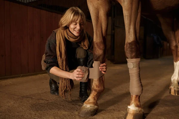 Closeup Woman Horse Owner Putting Bandage Animal Leg Prevent Injury — Stockfoto