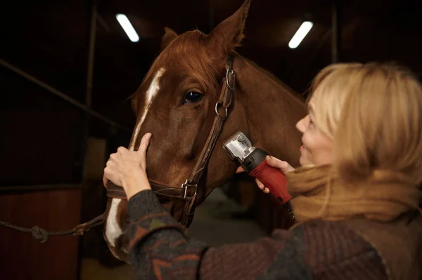 Young Satisfied Woman Grooming Horse Using Electric Shaver Ranch Stable — Stock fotografie