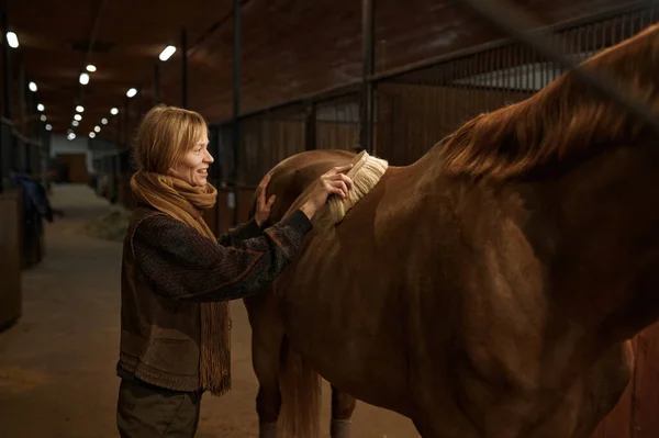 Young Smiling Woman Cleaning Horseback Her Brown Purebred Stallion Farm — Stock fotografie