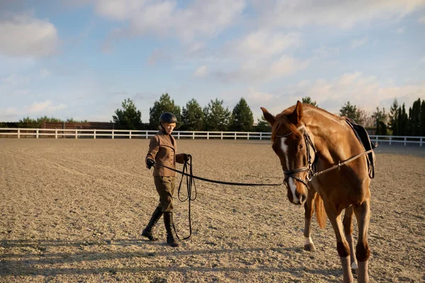 Woman Rider Training Sport Horse Outdoor Sandy Padlock Trainer Practicing — Stock fotografie