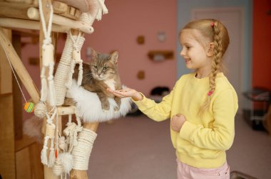 Hayvan barınağında kediyi besleyen gülümseyen küçük kız çocuğu. Evcil hayvan bakımı ve hayır kurumu konsepti
