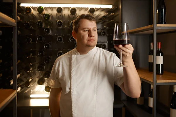 成功した男性ソムリエの試飲の味の本物のショット ワインの品質と色合いをチェック ワインセラー内装 — ストック写真