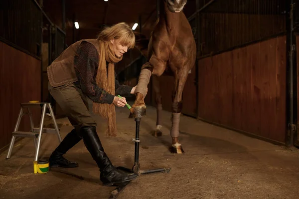 Woman Rider Applying Protective Varnish Horse Hooves Avoid Damage Taking — Stock Photo, Image