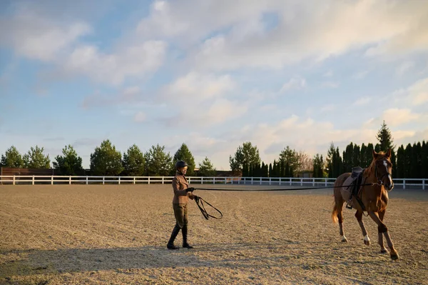 Woman Rider Training Sport Horse Outdoor Sandy Padlock Trainer Practicing — Stockfoto