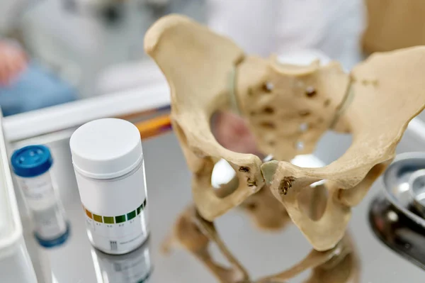 Pelvis anatomical skeleton structure model and pills on table selective focus. Medical education and training at gynecologist office