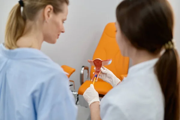 Gynecologist showing anatomical model of uterus to patient explaining process of conception, ovulation or installation of intrauterine device