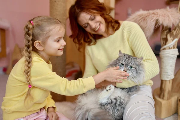 Happy Mother Daughter Playing Cat Animal Shelter Young Woman Girl — Stock Photo, Image