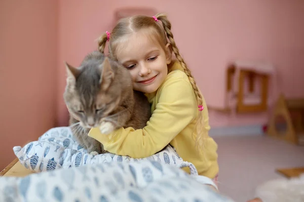 Ευτυχισμένο Χαμογελαστό Κορίτσι Χαϊδεύει Χνουδωτή Γάτα Διασκεδάζοντας Στο Καταφύγιο Ζώων — Φωτογραφία Αρχείου