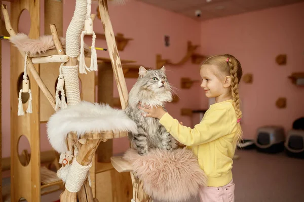 Menina Brincando Com Novo Gato Adotado Abrigo Animais Domésticos Crianças — Fotografia de Stock