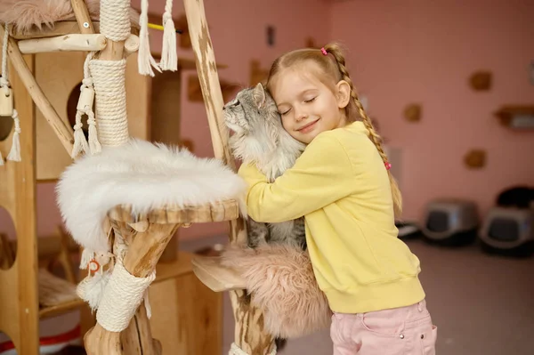 Ευτυχισμένο Χαμογελαστό Κορίτσι Χαϊδεύει Χνουδωτή Γάτα Διασκεδάζοντας Στο Καταφύγιο Ζώων — Φωτογραφία Αρχείου