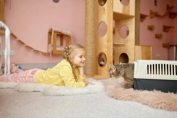 Şirin Bir Kız Çocuğu Kedilerin Kafesten Çıkıp Evcil Hayvan Barınağında — Stok fotoğraf