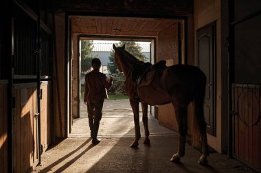 Woman in riding helmet and uniform caressing her harnessed horse while standing over stable gate. Animal and people love and bonding concept