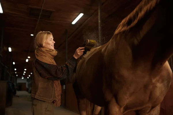 Wanita Tersenyum Membersihkan Kuda Dari Kuda Purebred Coklatnya Interior Stabil — Stok Foto
