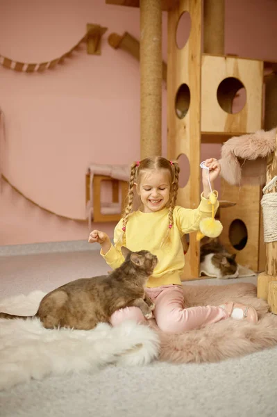 Χαριτωμένο Χαμογελαστό Κορίτσι Παίζει Γάτα Στο Καταφύγιο Για Οικόσιτα Ζώα — Φωτογραφία Αρχείου