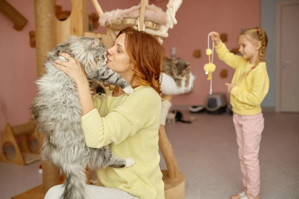 Donna Felice Trascorrere Del Tempo Con Gatto Mentre Piccola Figlia — Foto Stock