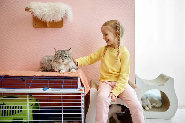 Gelukkig Lachend Meisje Kind Spelen Met Kat Binnen Hij Zit — Stockfoto