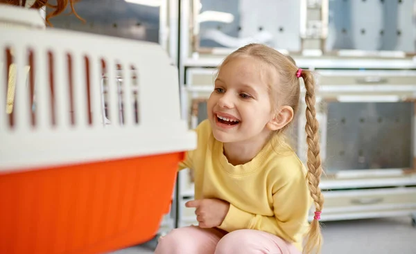 Радостная Девочка Чувствует Себя Счастливой После Покупки Кота Магазине Девушка — стоковое фото
