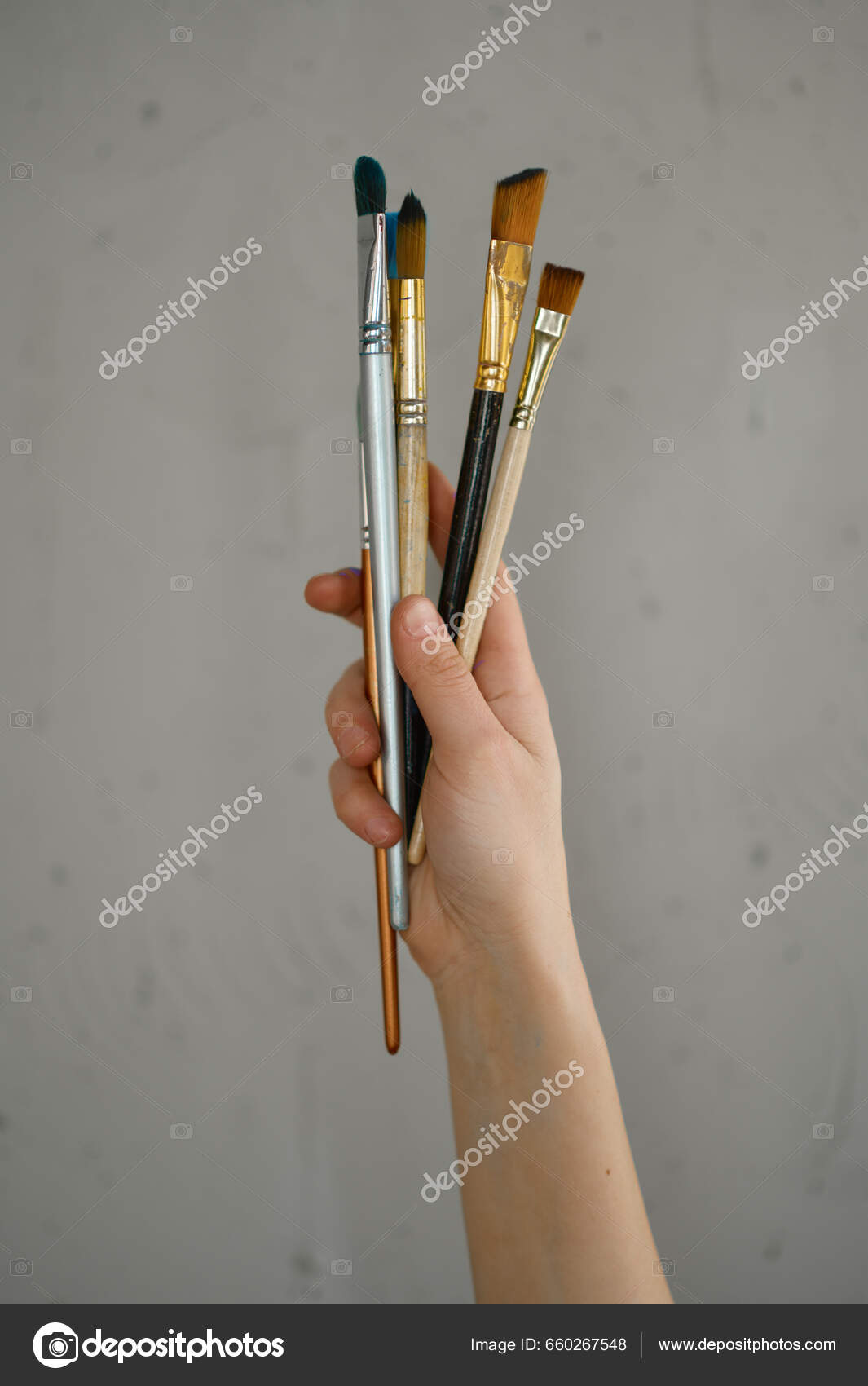Female Hand Holding Bunch Paintbrush Grey Cement Studio Wall Basic Stock  Photo by ©Nomadsoul1 660267548