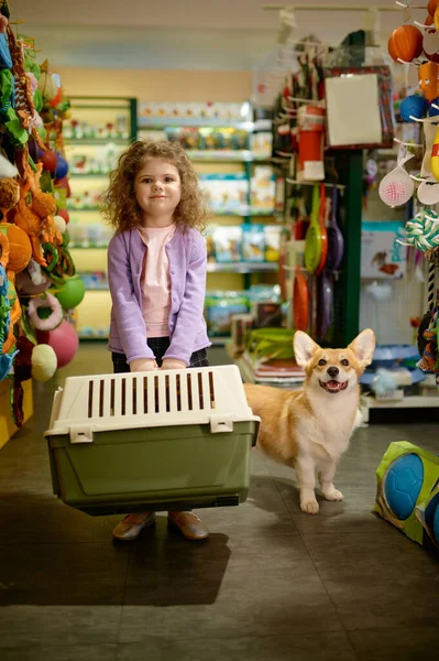 Portrait Little Girl Her Corgi Dog Pet Shop Little Child — Stock Photo, Image