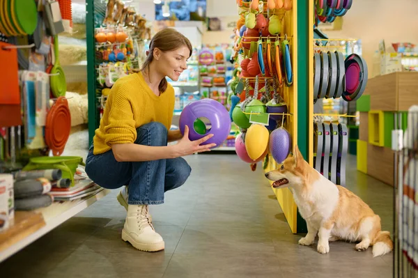 Jonge Vrouw Koopt Nieuw Speelgoed Voor Haar Corgi Hond Dierenwinkel — Stockfoto