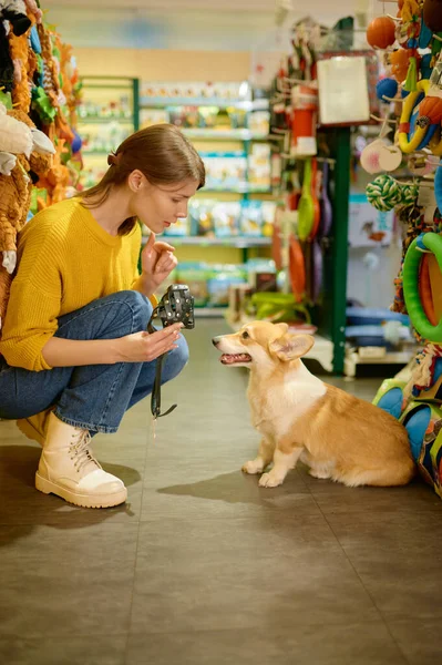快乐的女性顾客在宠物店购买狗带 年轻女人给她的小狗戴上新的皮带 — 图库照片