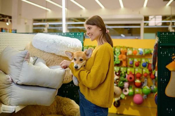 在宠物店选择软卧地方的年轻微笑女子牵着科吉犬 — 图库照片
