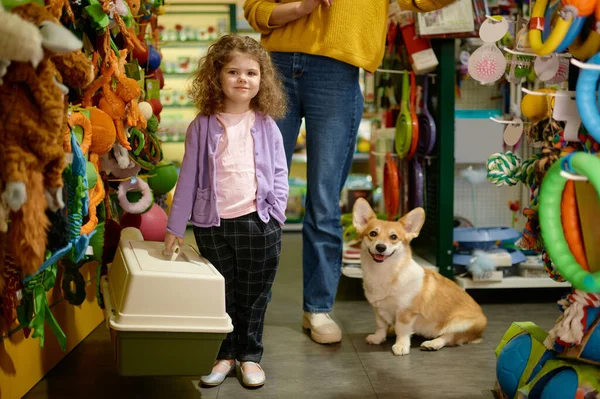Portrait Little Girl Child Standing New Carrier Corgi Dog Posing — Stock Photo, Image