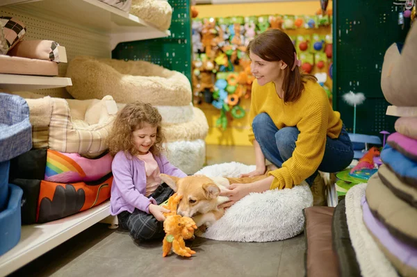 幸せな母親と娘選択ベッドとおもちゃのために彼らの美しいですCorgi犬のためにペットショップ — ストック写真