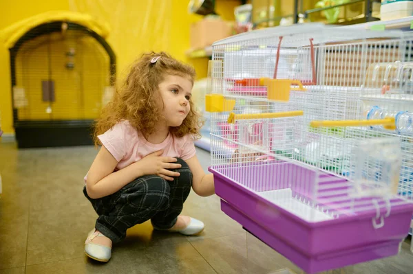 Küçük Kız Evcil Hayvan Dükkanında Kemirgen Için Kafesin Yanında Oturuyor — Stok fotoğraf