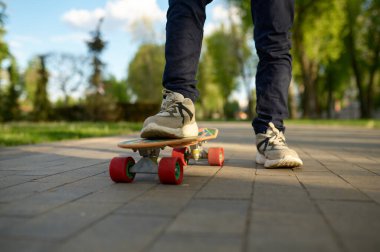 Yakın plan erkek bacağı. Kaykaylı spor ayakkabılar giyiyor. Hafta sonu kaykay zamanı.