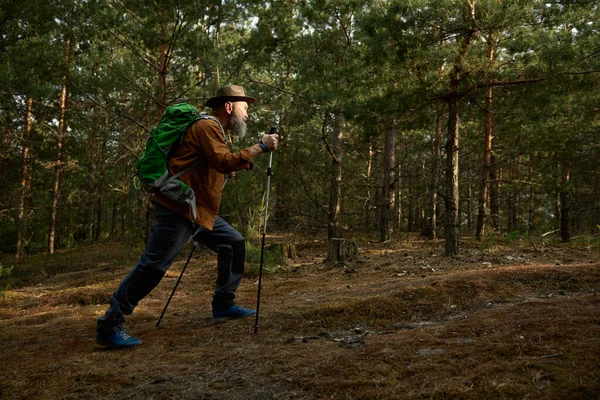 Homem Aposentado Ativo Caminhando Floresta Turista Sexo Masculino Com Treino — Fotografia de Stock
