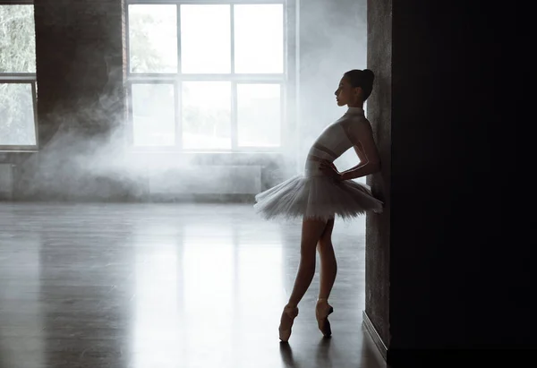 一个性感的芭蕾舞演员在演播室里表演 华丽的女芭蕾舞演员穿着时髦的服装 穿着连衣裙和尖尖的鞋子 笼罩在浓烟的浓雾中 有一种特殊的效果 — 图库照片
