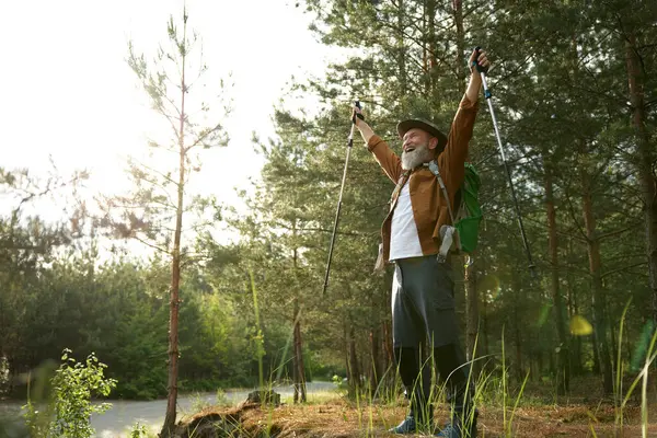 Mutlu kıdemli yürüyüşçüler el kaldırarak seviniyor ve hedefe ulaşıyorlar. Özgürlük, sağlık ve doğa üzerine spor eğitimi