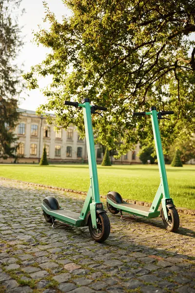 Vehículos Scooter Eléctrico Ecológicos Estacionados Campus Universitario Transporte Ecológico Para Imagen de archivo