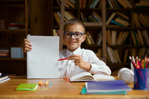 Portrait of little schoolboy student presenting report on remote lesson at virtual classroom platform. Webcam view of boy pupil showing copybook blank sheet pointing with pencil sitting at table