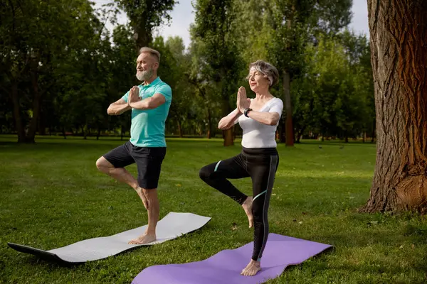 Older active couple doing yoga exercise outdoors at city park. Senior man and woman practicing tree asana with hands folded in Namaste sign balancing on one leg