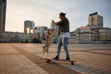 Gündelik kıyafet kaykaylı şık hippi adam ve şehir meydanında birlikte yürüyen köpek. Hayvan sahibi ve sevimli köpek yavrusu şehir merkezinde sakin bir akşamda fiziksel aktivitenin tadını çıkarıyor.