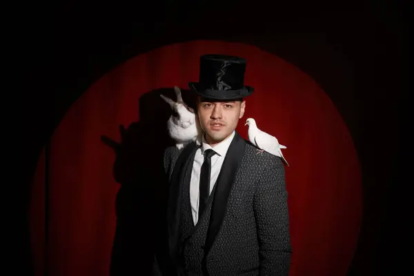 鳩とウサギのトリックを示すエレガントなミステリアスな錯覚 赤い段階のドレープリー上の魔術師の肖像画 ウィザード マジックとファンタジー イリュージョン ロイヤリティフリーのストック画像