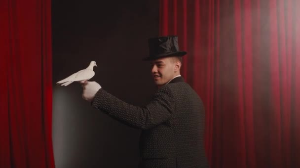Elegante Artista Mágico Com Pombo Pássaro Sobre Cortinas Vermelhas Iluminação Vídeo De Stock